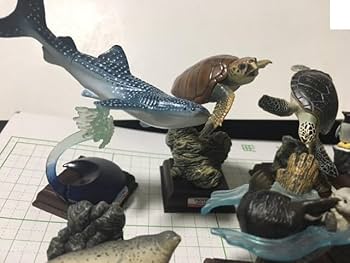 Amazon.co.jp: 海遊館 ミュージアム ネイチャーテクニカラー